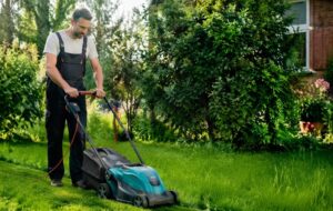 Турбо-нож для газонокосилки: чем он отличается от обычного и мульчирующего