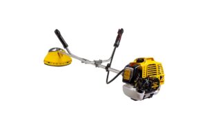 Champion T523