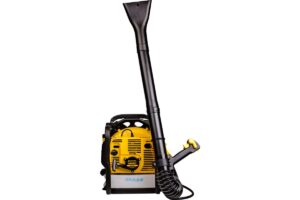 Champion GBR357